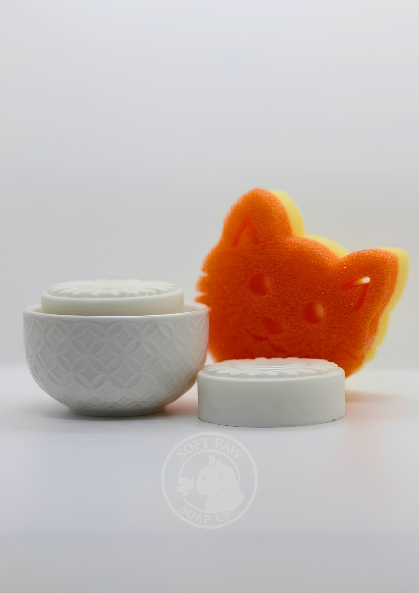 Pawlished Dishes - Solid Dish Soap