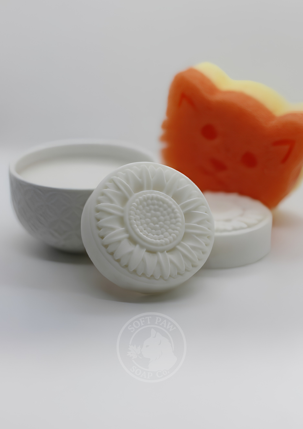 Pawlished Dishes - Solid Dish Soap